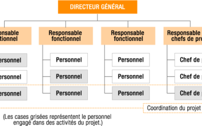 Management matriciel : définition, avantages et inconvénients